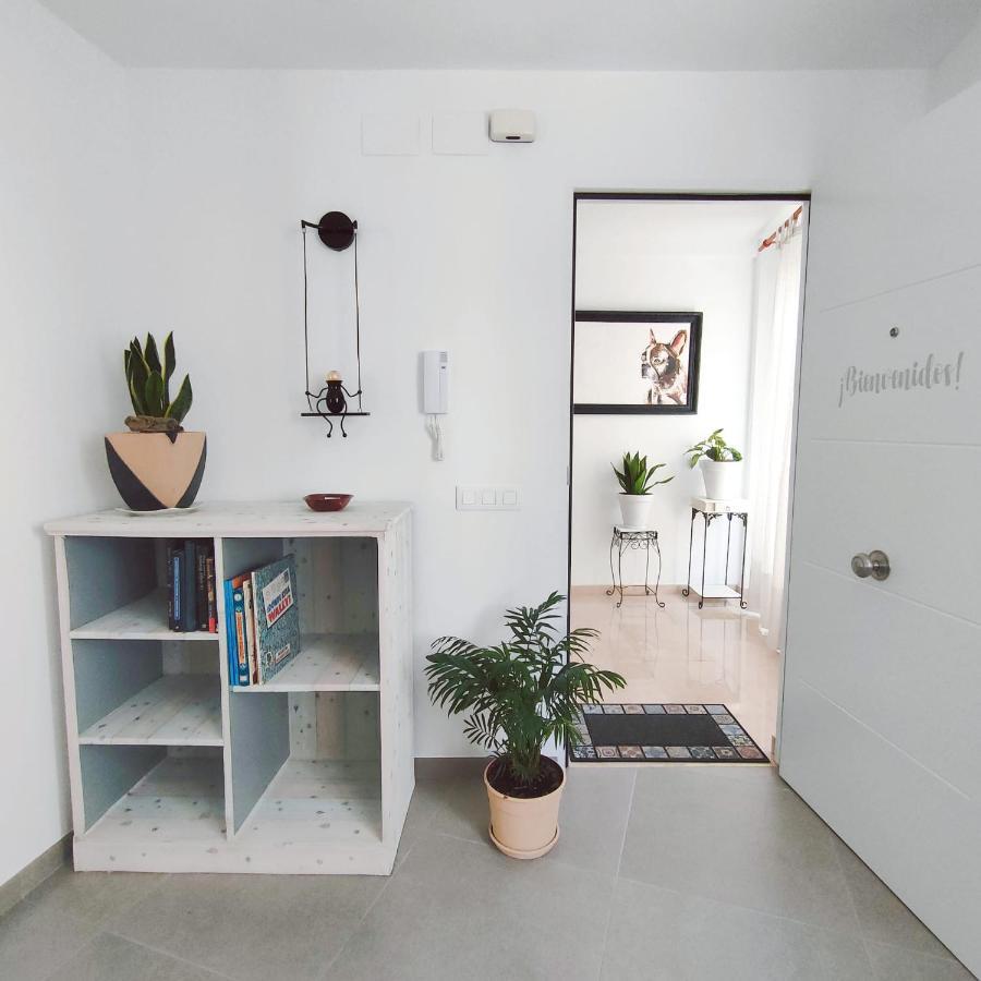 체스테 Casa Edrada 아파트 외부 사진